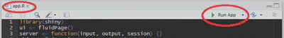 Shiny Run App
